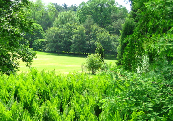 _and_they_grew_today